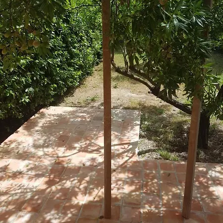 Appartement Mido Grimaud
