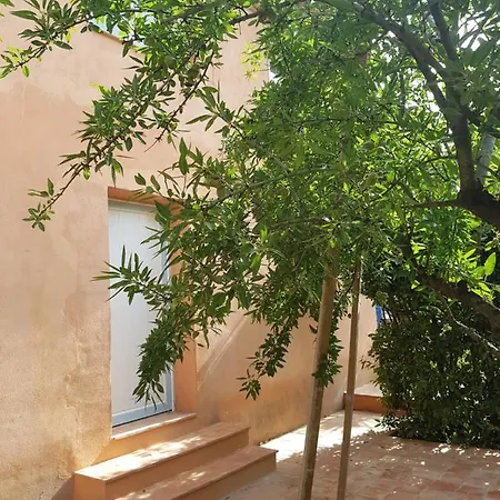 Appartement Mido *